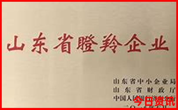 暑假国内旅游去哪里好