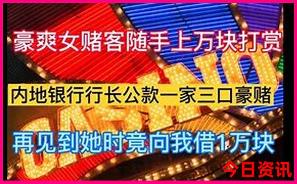 哪个国家夏天凉快